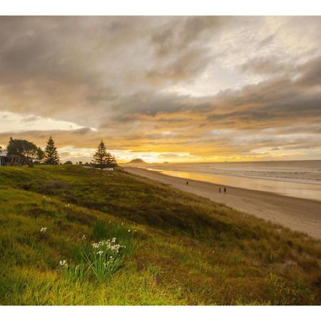 Cabbage Tree - Summer Or Winter Beachfront Haven Papamoa Eksteriør bilde