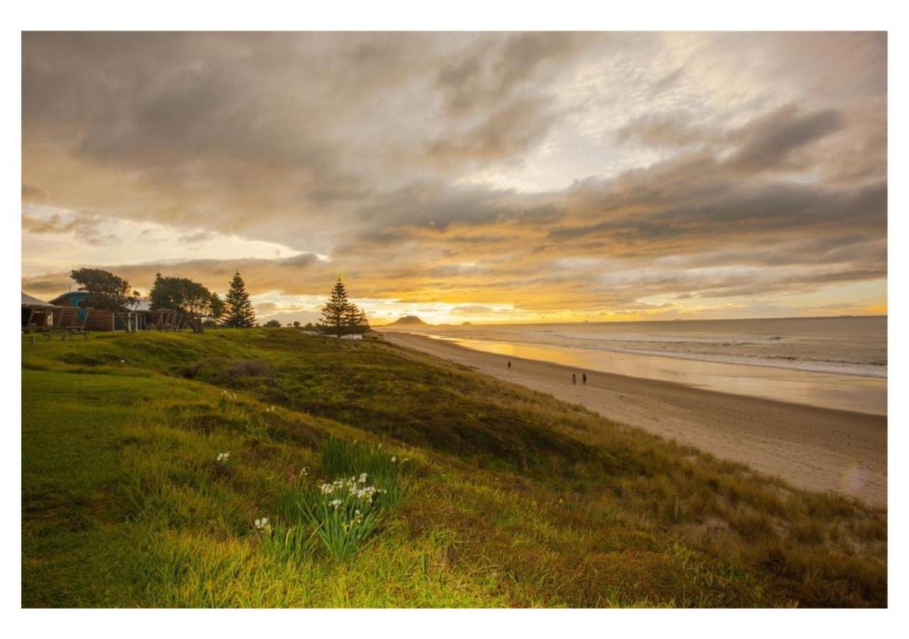Cabbage Tree - Summer Or Winter Beachfront Haven Papamoa Eksteriør bilde